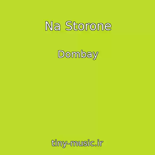کاور آهنگ Na Storone از Dombay