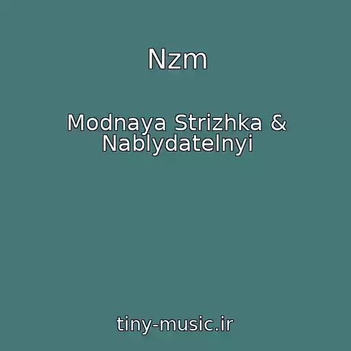 کاور آهنگ Nzm از Modnaya Strizhka & Nablydatelnyi