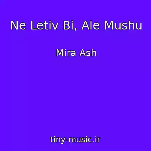 کاور آهنگ Ne Letіv Bi, Ale Mushu از Mira Ash