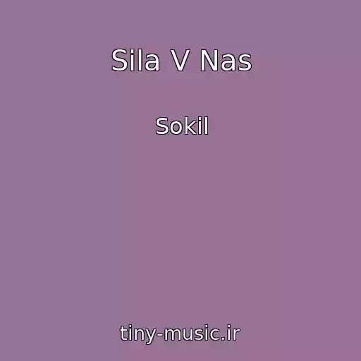 کاور آهنگ Sila V Nas از Sokil