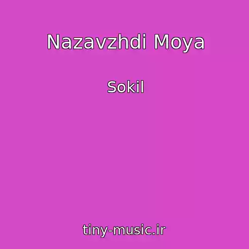 کاور آهنگ Nazavzhdi Moya از Sokil