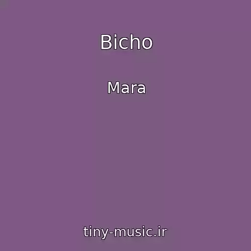 کاور آهنگ Bicho از Mara