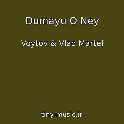 کاور آهنگ Dumayu O Ney از Voytov & Vlad Martel