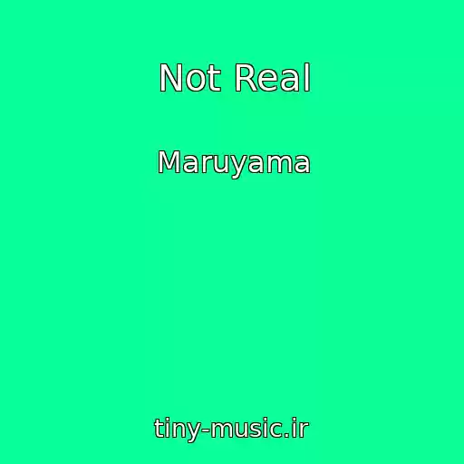 کاور آهنگ Not Real از Maruyama