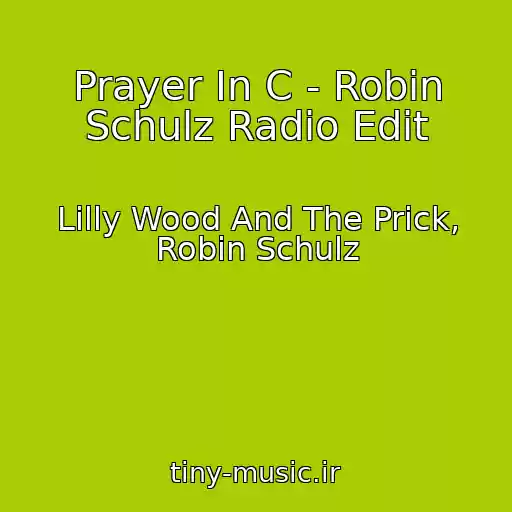 کاور آهنگ Prayer In C - Robin Schulz Radio Edit از Lilly Wood And The Prick, Robin Schulz