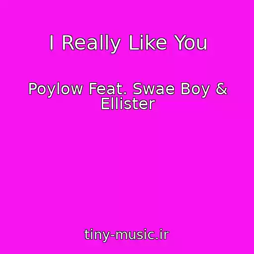 کاور آهنگ I Really Like You از Poylow Feat. Swae Boy & Ellister
