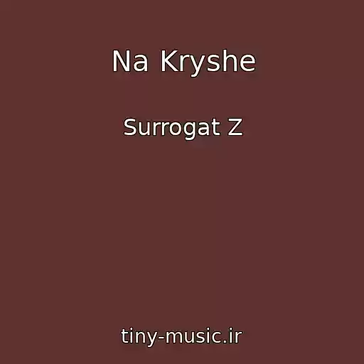 کاور آهنگ Na Kryshe از Surrogat Z