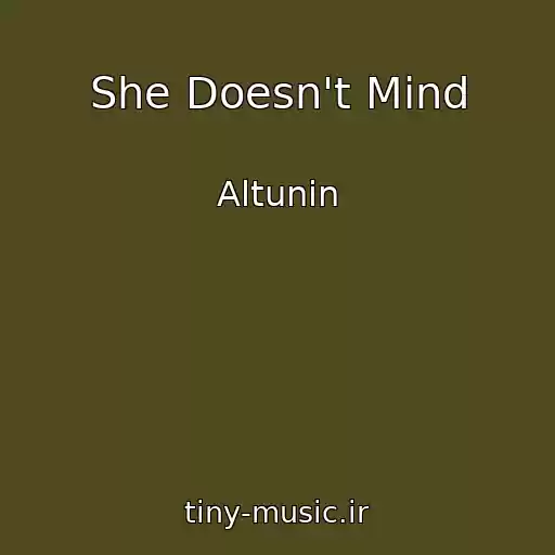 کاور آهنگ She Doesn't Mind از Altunin