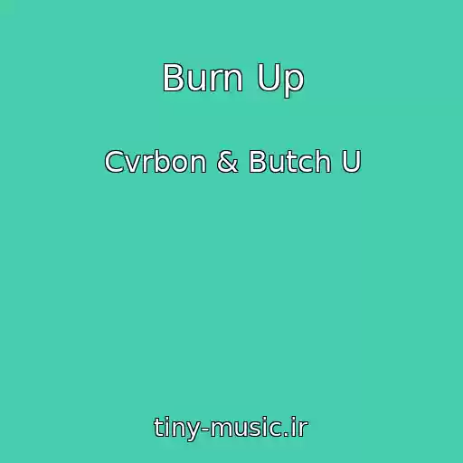 کاور آهنگ Burn Up از Cvrbon & Butch U