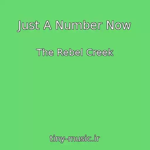 کاور آهنگ Just A Number Now از The Rebel Creek