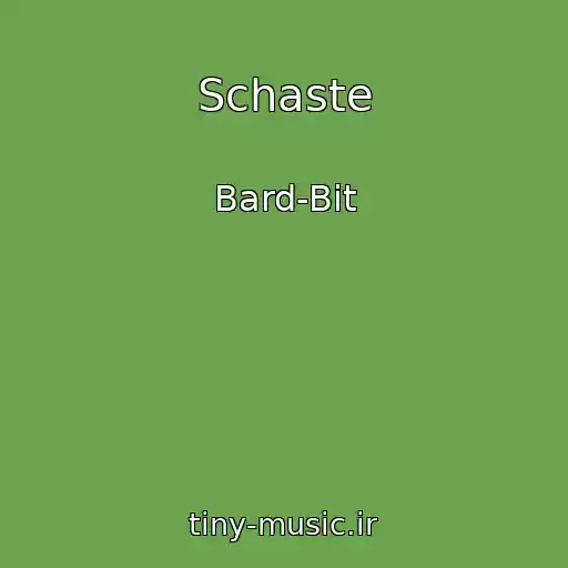 کاور آهنگ Schaste از Bard-Bit