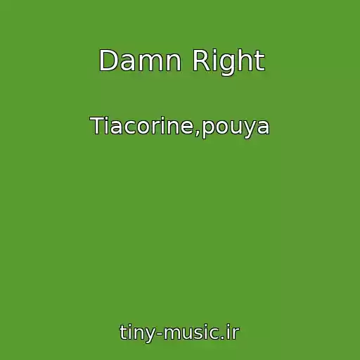 کاور آهنگ Damn Right از Tiacorine,pouya