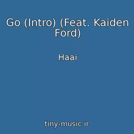 کاور آهنگ Go (Intro) (Feat. Kaiden Ford) از Haai