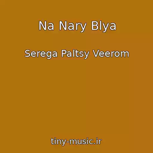 کاور آهنگ Na Nary Blya از Serega Paltsy Veerom