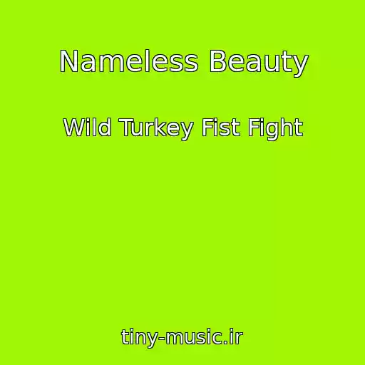 کاور آهنگ Nameless Beauty از Wild Turkey Fist Fight