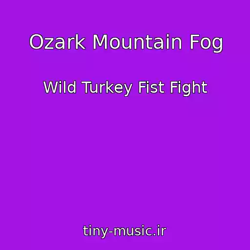کاور آهنگ Ozark Mountain Fog از Wild Turkey Fist Fight