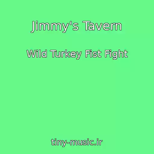 کاور آهنگ Jimmy's Tavern از Wild Turkey Fist Fight