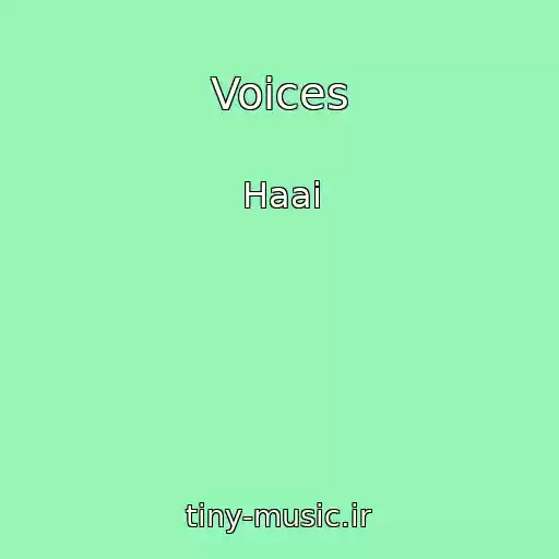 کاور آهنگ Voices از Haai