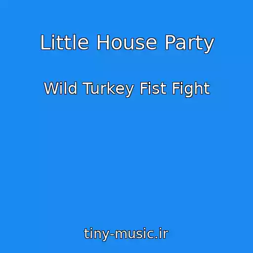 کاور آهنگ Little House Party از Wild Turkey Fist Fight