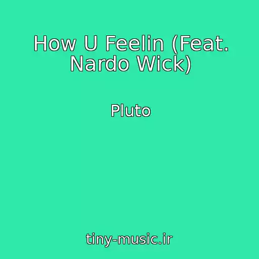 کاور آهنگ How U Feelin (Feat. Nardo Wick) از Pluto