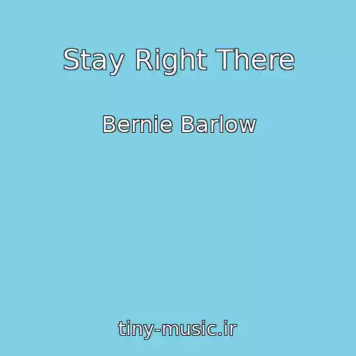 کاور آهنگ Stay Right There از Bernie Barlow