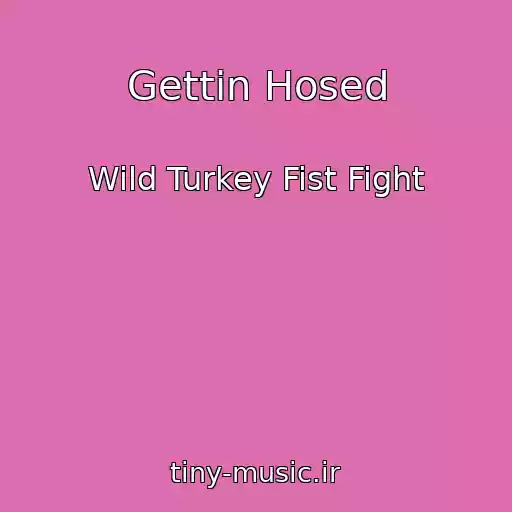 کاور آهنگ Gettin Hosed از Wild Turkey Fist Fight