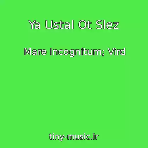 کاور آهنگ Ya Ustal Ot Slez از Mare Incognitum; Vird