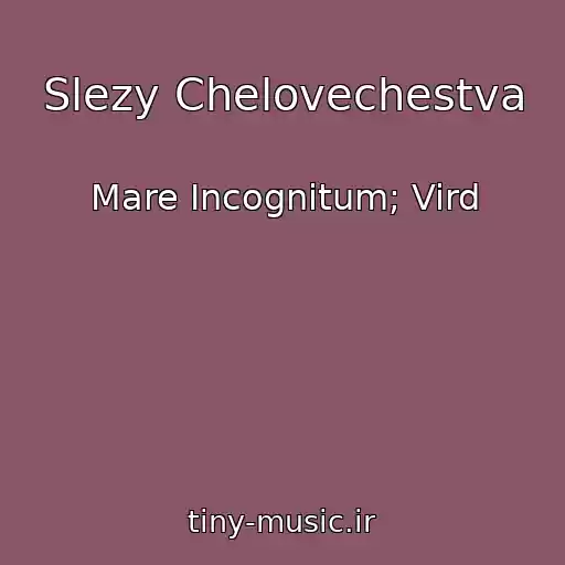 کاور آهنگ Slezy Chelovechestva از Mare Incognitum; Vird