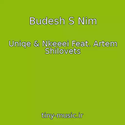 کاور آهنگ Budesh S Nim از Uniqe & Nkeeei Feat. Artem Shilovets