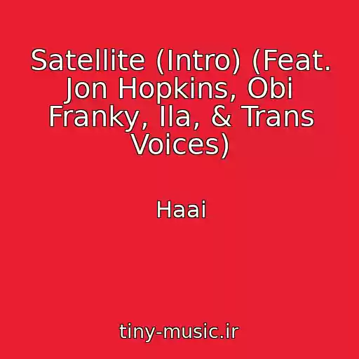کاور آهنگ Satellite (Intro) (Feat. Jon Hopkins, Obi Franky, Ila, & Trans Voices) از Haai