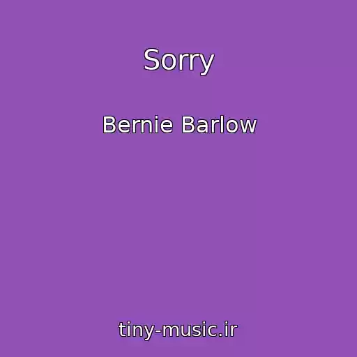 کاور آهنگ Sorry از Bernie Barlow