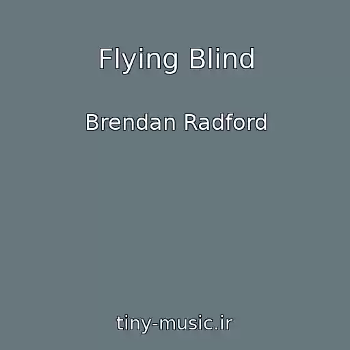 کاور آهنگ Flying Blind از Brendan Radford