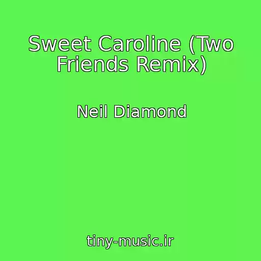 کاور آهنگ Sweet Caroline (Two Friends Remix) از Neil Diamond