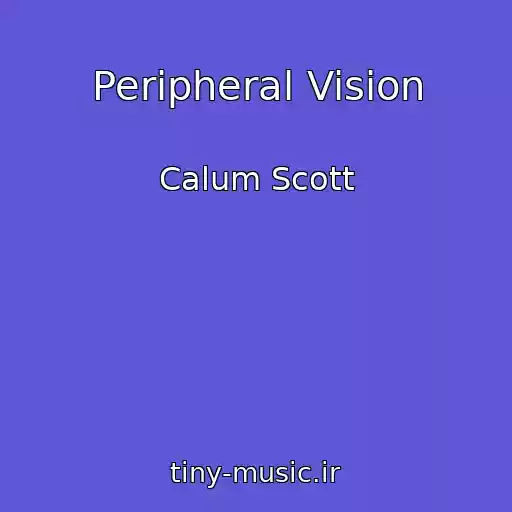 کاور آهنگ Peripheral Vision از Calum Scott