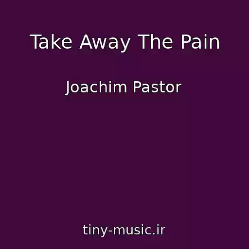 کاور آهنگ Take Away The Pain از Joachim Pastor