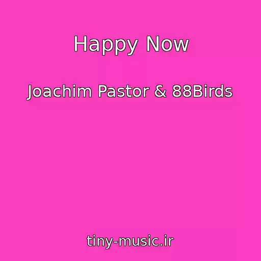 کاور آهنگ Happy Now از Joachim Pastor & 88Birds
