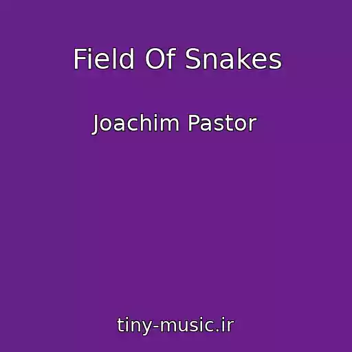 کاور آهنگ Field Of Snakes از Joachim Pastor