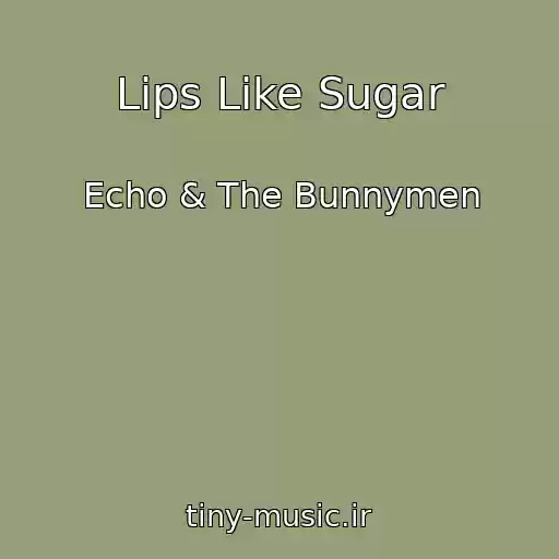 کاور آهنگ Lips Like Sugar از Echo & The Bunnymen