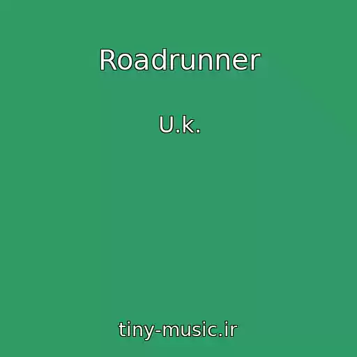 کاور آهنگ Roadrunner از U.k.