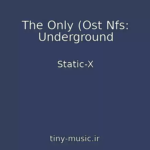 کاور آهنگ The Only (Ost Nfs: Underground از Static-X