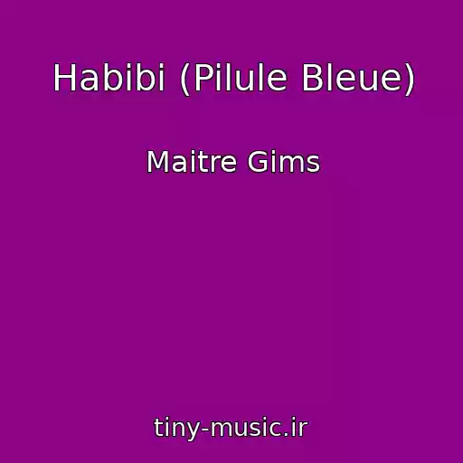 کاور آهنگ Habibi (Pilule Bleue) از Maitre Gims