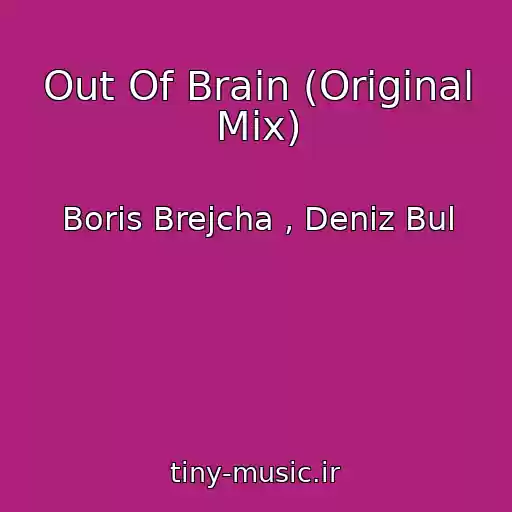 کاور آهنگ Out Of Brain (Original Mix) از Boris Brejcha , Deniz Bul