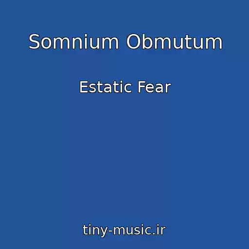 کاور آهنگ Somnium Obmutum از Estatic Fear