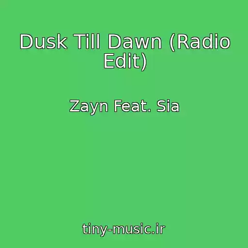 کاور آهنگ Dusk Till Dawn (Radio Edit) از Zayn Feat. Sia