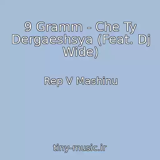 کاور آهنگ 9 Gramm - Che Ty Dergaeshsya (Feat. Dj Wide) از Rep V Mashinu