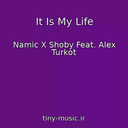 کاور آهنگ It Is My Life از Namic X Shoby Feat. Alex Turkot