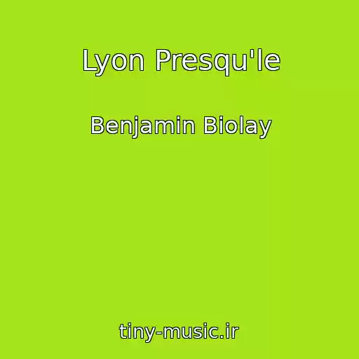 کاور آهنگ Lyon Presqu'le از Benjamin Biolay