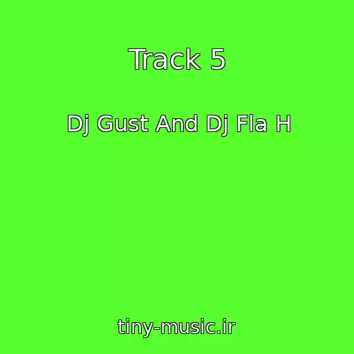 کاور آهنگ Track 5 از Dj Gust And Dj Fla H