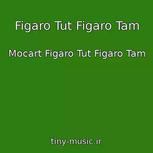 کاور آهنگ Figaro Tut Figaro Tam از Mocart Figaro Tut Figaro Tam