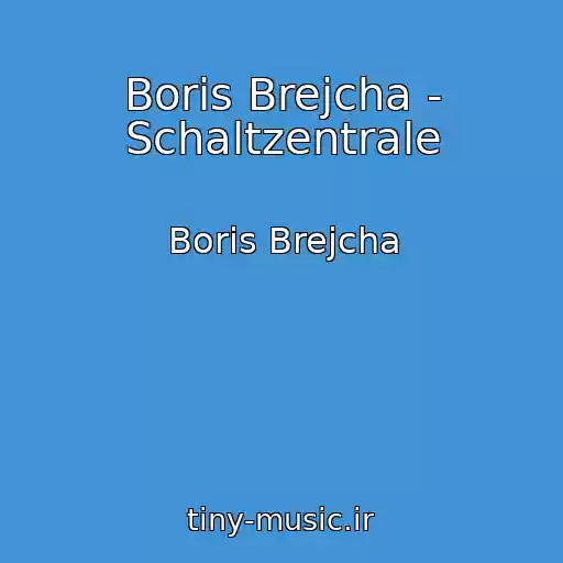 کاور آهنگ Boris Brejcha - Schaltzentrale از Boris Brejcha